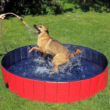 🐾 Lionto Dibea Hundepool 160×30 cm