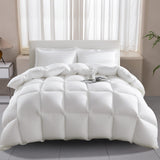 🛏️ WELLOS Daunenbettdecke 135×200 cm – B-Ware!
