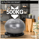 🏋️‍♀️ Miweba 4in1 Gymnastikball 65 cm